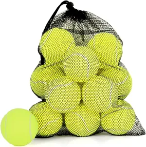12/18 Pack Tennis Balls for Training, Pet Dog Playing, and Practice With Mesh Bag for Transport and Beginner Training