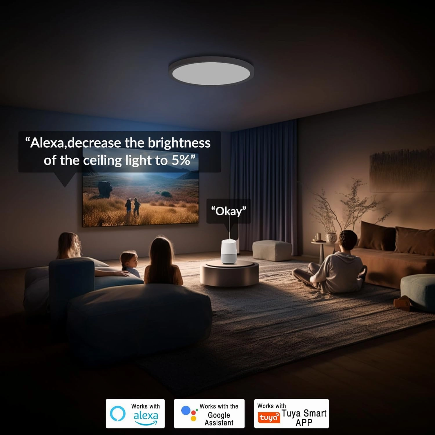 2 Pack Smart RGB LED Ceiling Light with Remote, 12" WiFi Flush Mount Ceiling Light Works with Alexa & Google Home, 24W=2400LM Dimmable, DIY Colors & 2700K-6500K, for Bedroom Living Room