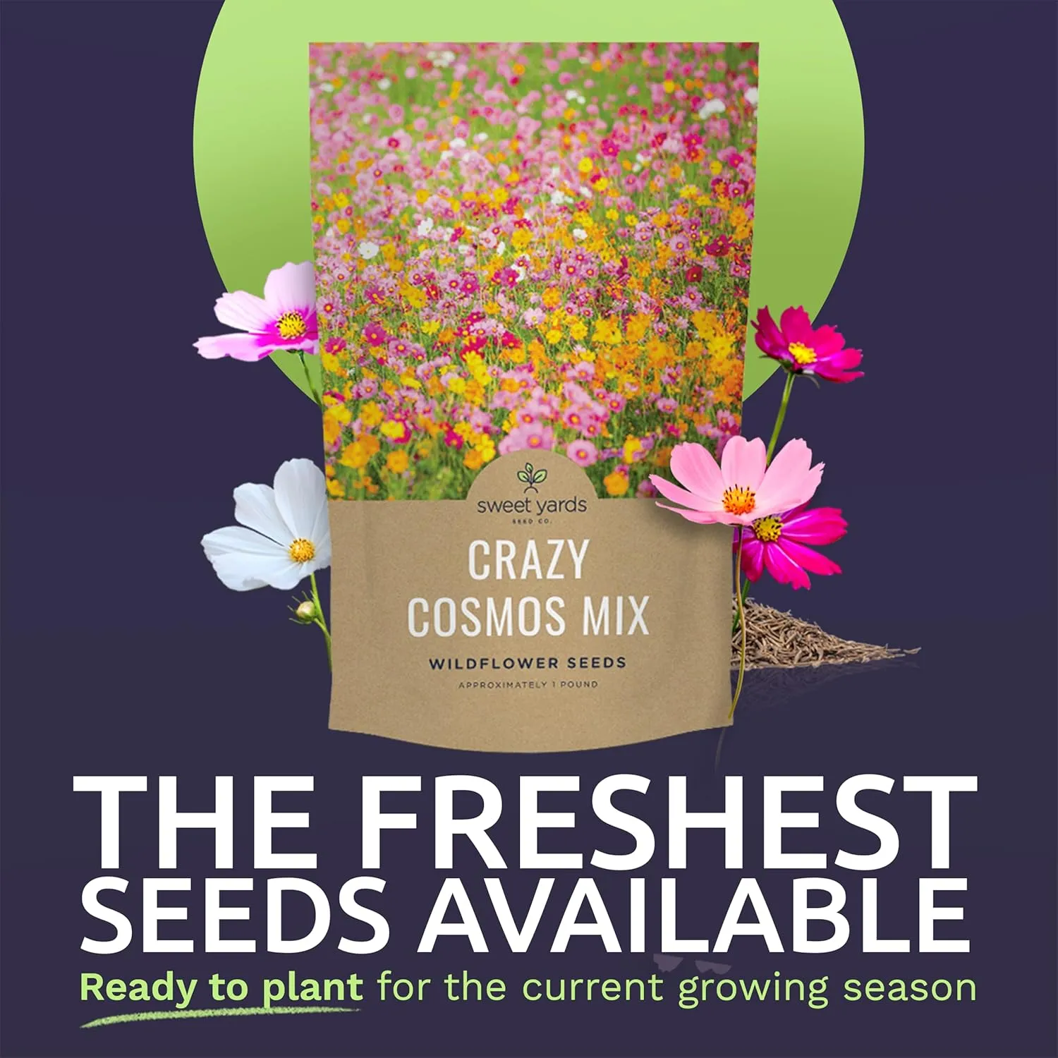 Bulk Cosmos Seeds Wildflower Mixture - 1 Pound Bag - Over 80,000 Seeds - Pink, Yellow, Orange, Red, Purple and White Mixed Species!