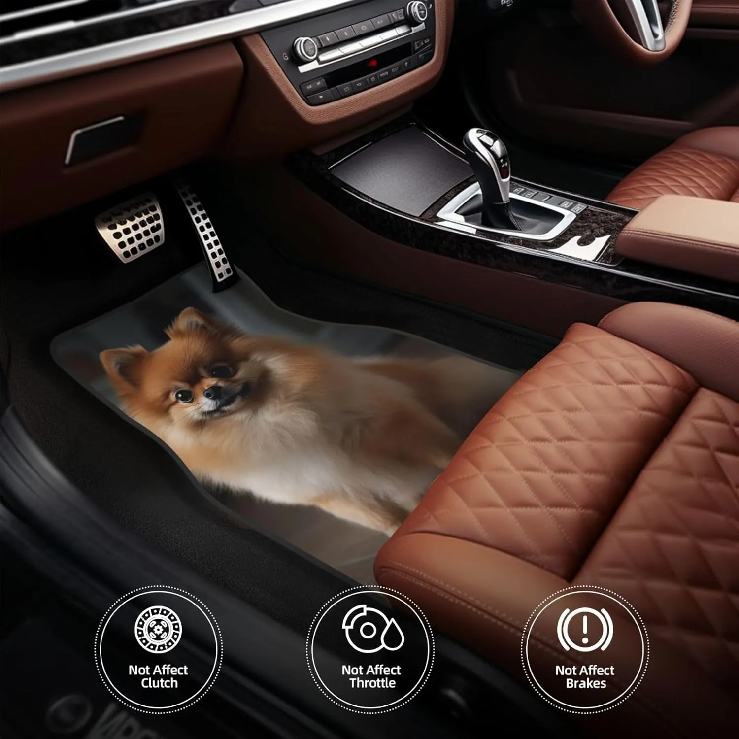 Car Floor Mats All-Weather Front Rear Car Floor Foot Mat Sets of 4 Pieces Universal Car Foot Mat Pomeranian Dog on Wooden Floor Car Mats Non-Slip Automotive Floor Mats for SUV Vans sedans Trucks