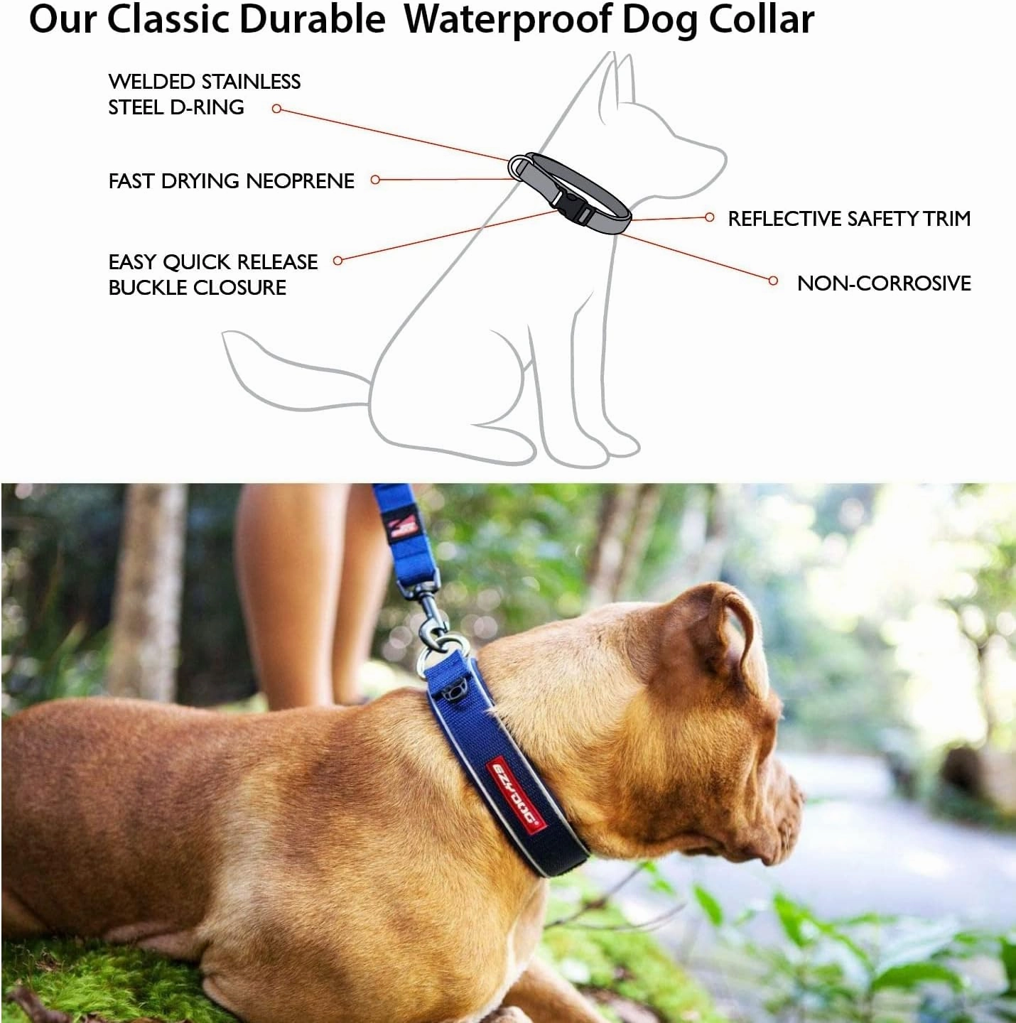 EzyDog Neo Dog Collar - Waterproof & Reflective Dog Collar with Soft Padded Neoprene for Comfort & Durable Nylon – Features Quick Release Buckle and Built-in ID Clip (Medium, Blue)