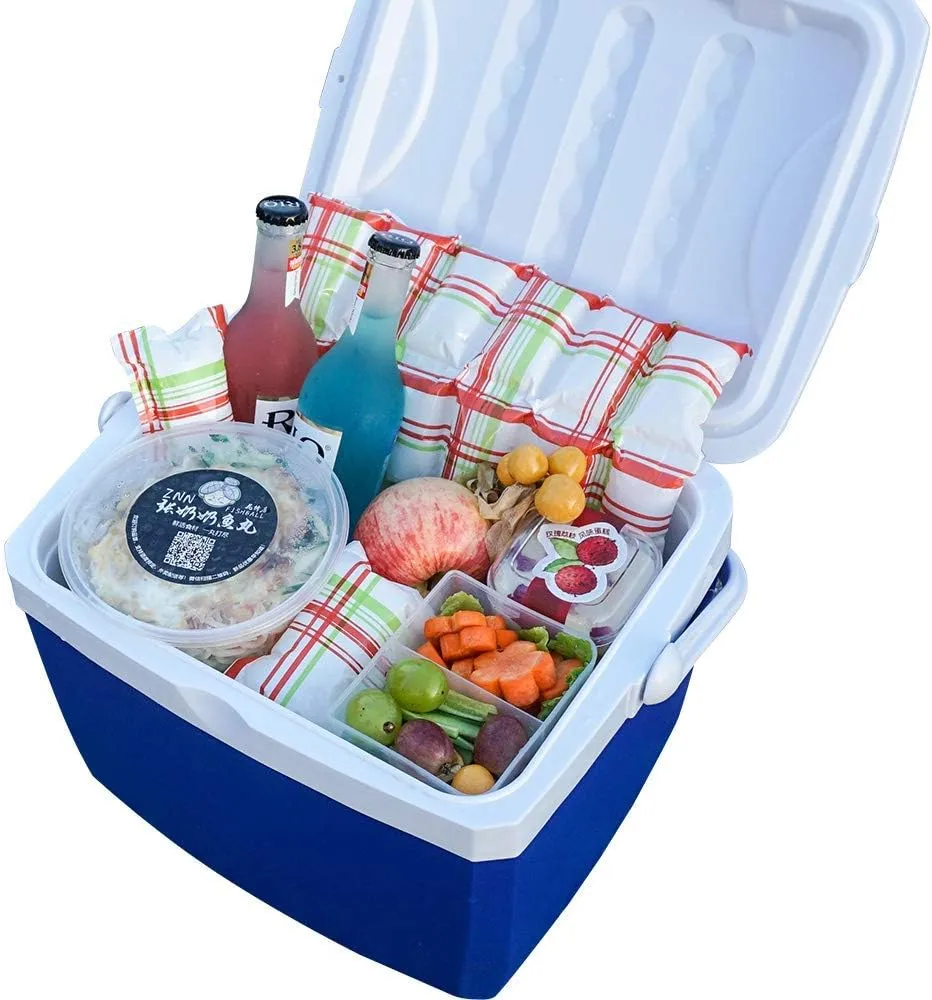 Ice Packs for Cooler and Shipping, Long Lasting Dry Ice Packs for Shipping Frozen Food Freezer Packs for Mailing, Reusable Ice Pack Sheets - 24 Cell/12 Cell/100g/400g Single
