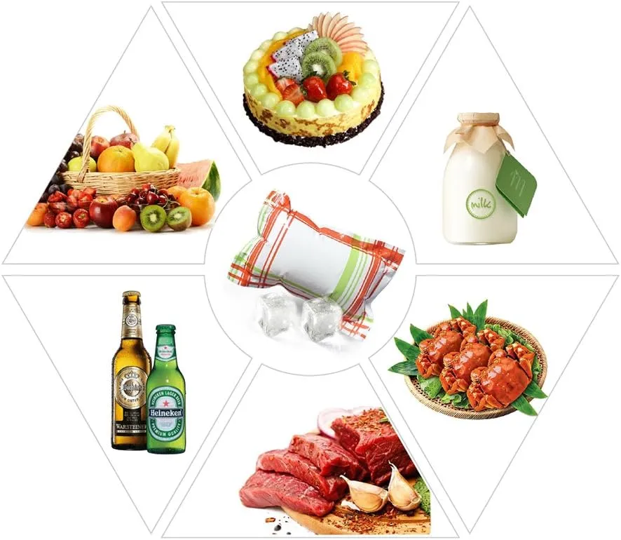 Ice Packs for Cooler and Shipping, Long Lasting Dry Ice Packs for Shipping Frozen Food Freezer Packs for Mailing, Reusable Ice Pack Sheets - 24 Cell/12 Cell/100g/400g Single
