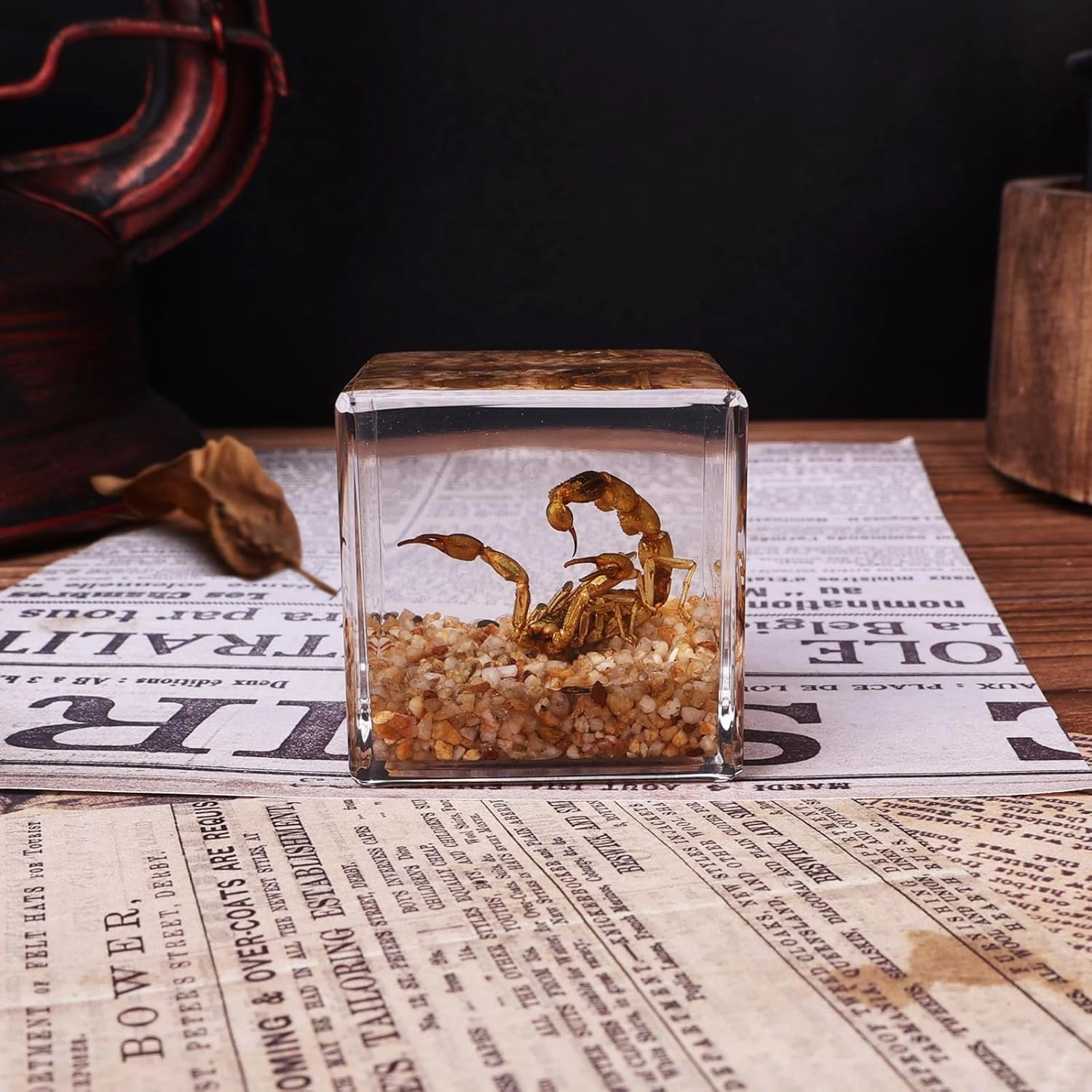 Real Scorpion in Resin,Specimen in Resin, Gift for Curious Kids and Potential Biologists, Paperweight as Miniature Desert