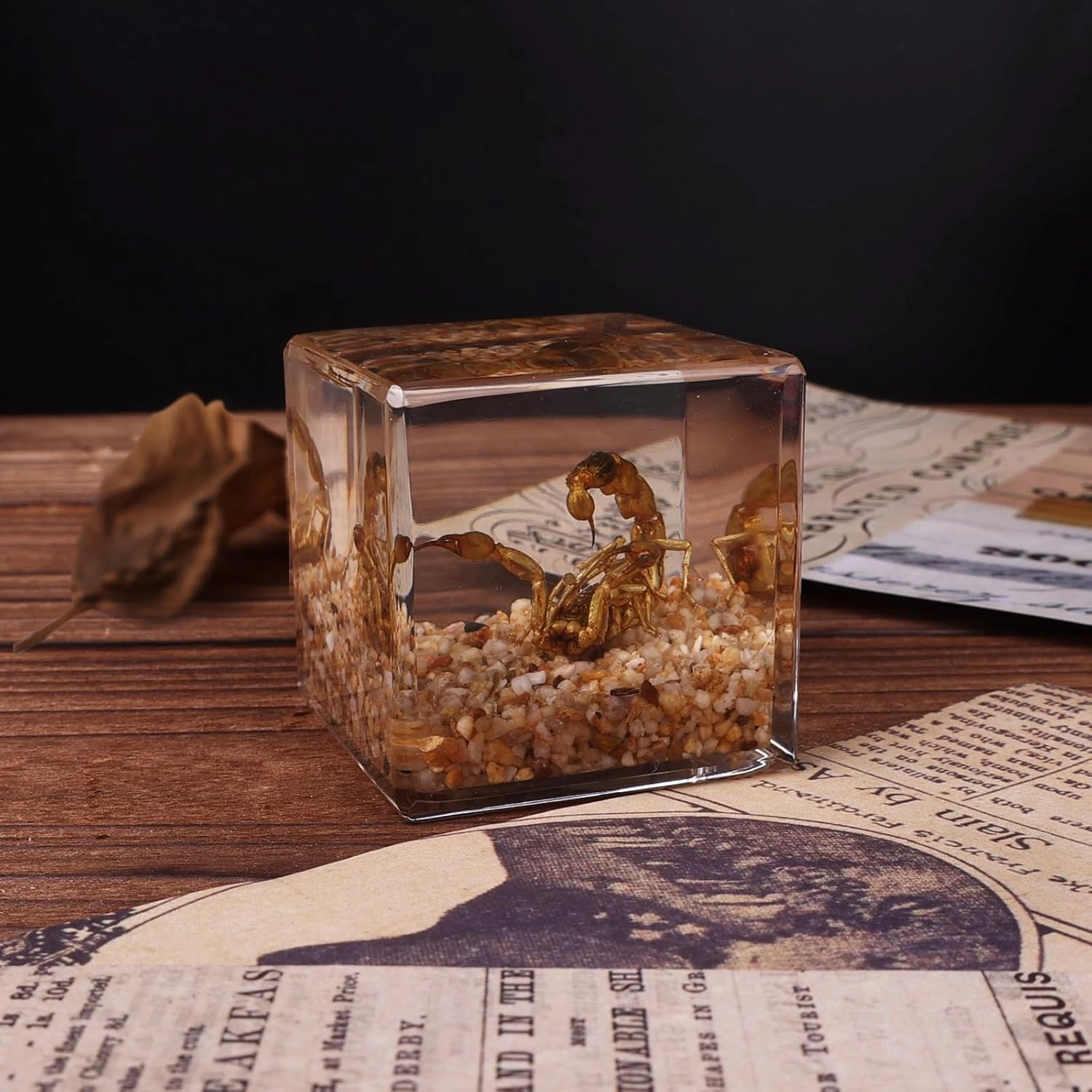Real Scorpion in Resin,Specimen in Resin, Gift for Curious Kids and Potential Biologists, Paperweight as Miniature Desert