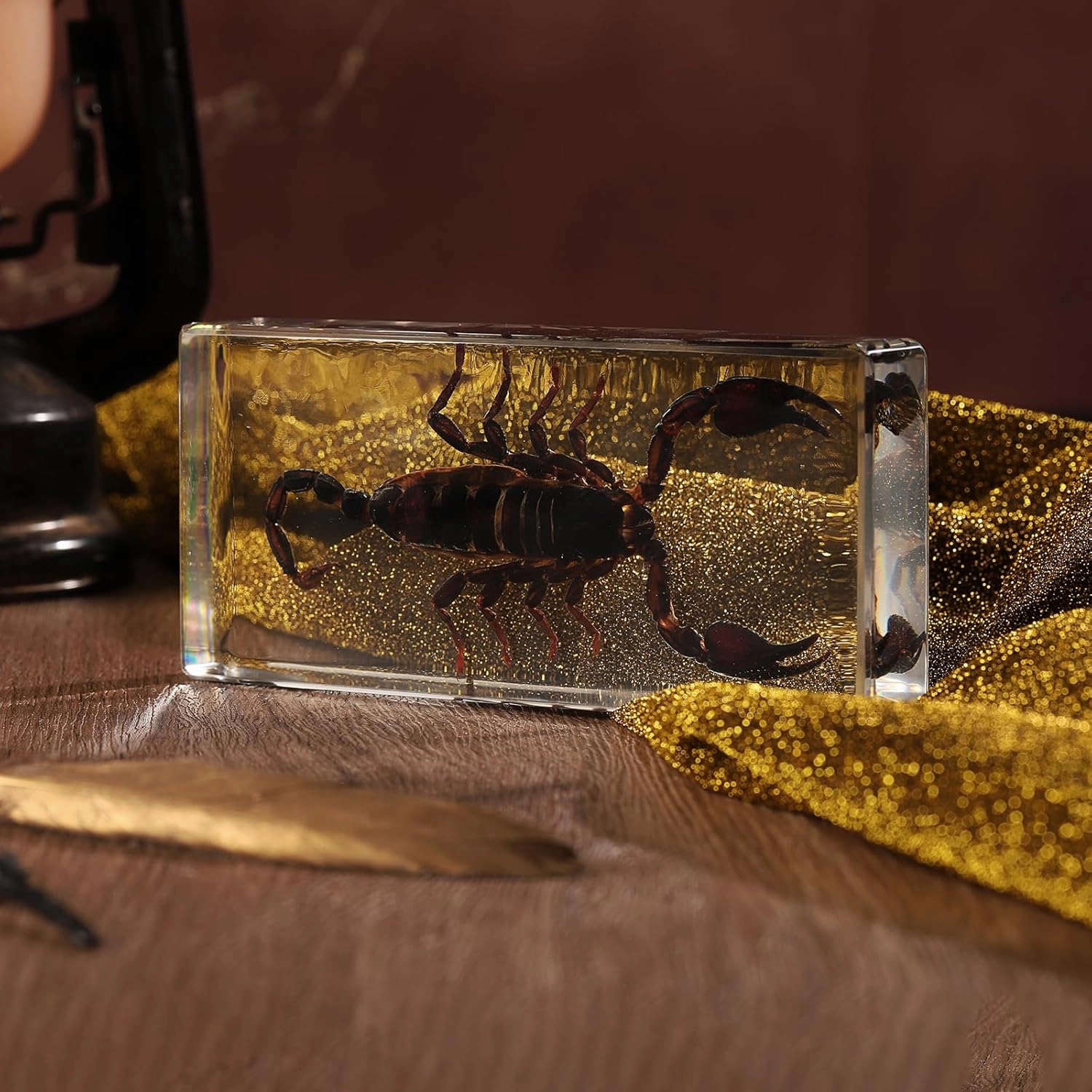 Taxidermy Scorpion, Real Scorpion Specimens Animal Specimen in Resin for Science Classroom Science Education, Great Gift for Fans of Taxidermy, Animal Skull, Oddities, Biology (5.5x2.5x1 Inch)
