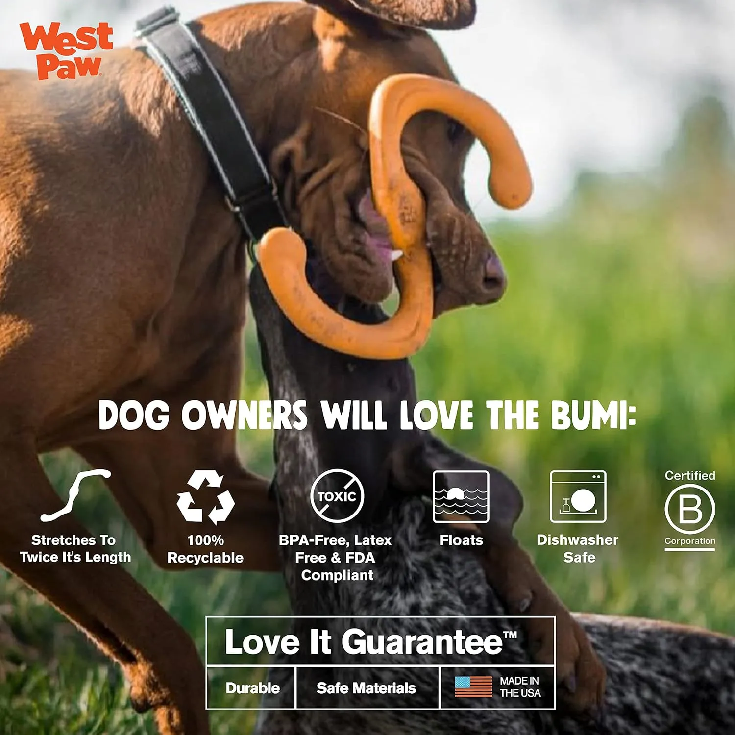 Zogoflex West Paw Design Bumi Dog Toy